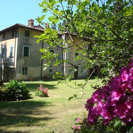 פיאטרה סנטה Bed & Breakfast Villa Masini-Luccetti מראה חיצוני תמונה