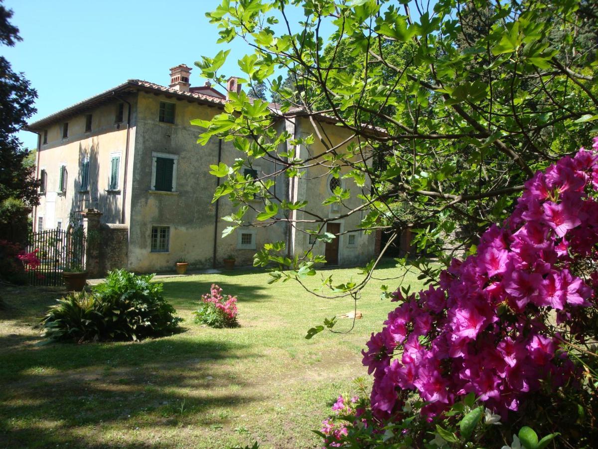 פיאטרה סנטה Bed & Breakfast Villa Masini-Luccetti מראה חיצוני תמונה