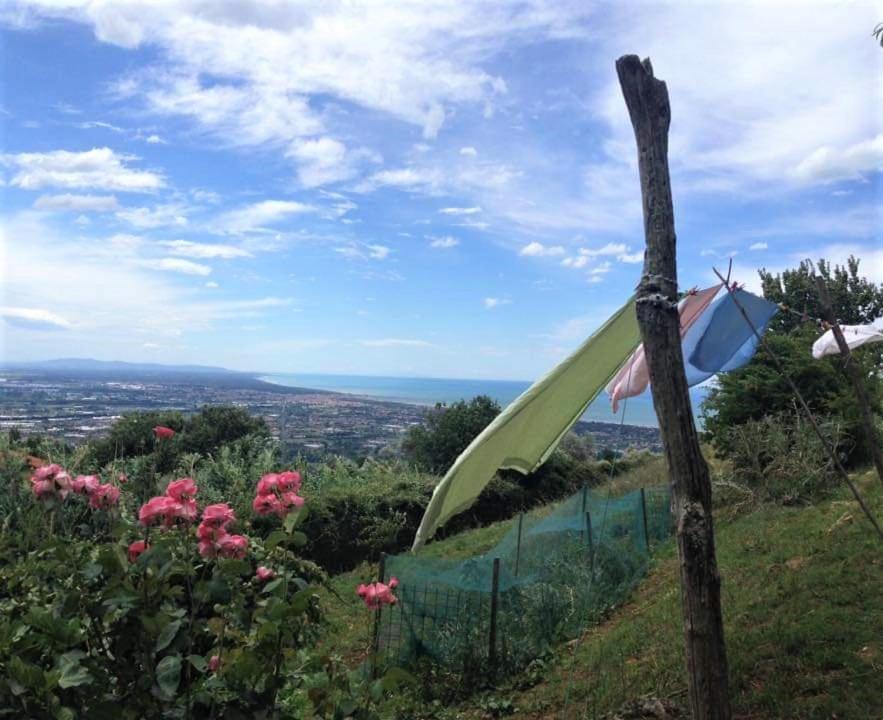 פיאטרה סנטה Bed & Breakfast Villa Masini-Luccetti מראה חיצוני תמונה
